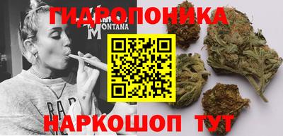 ECSTASY Славгород